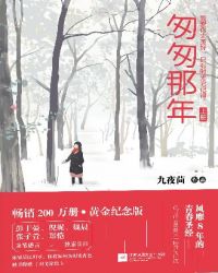 匆匆那年(全二册)